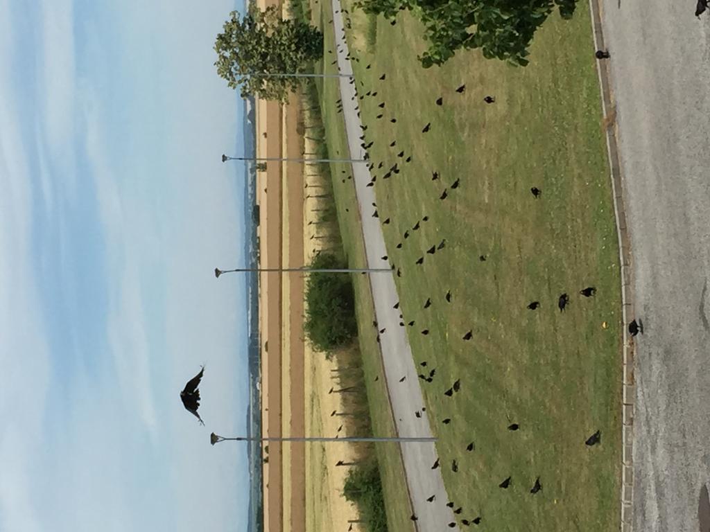 Birdland Villapark Golf View Bük Εξωτερικό φωτογραφία