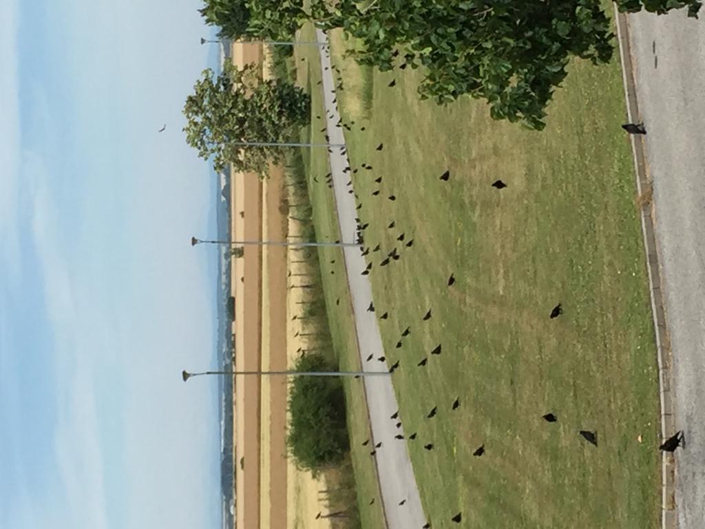 Birdland Villapark Golf View Bük Εξωτερικό φωτογραφία